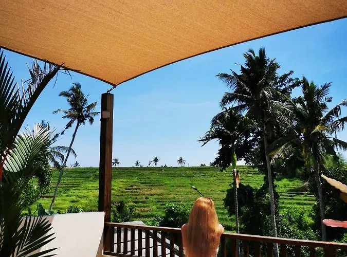 Sawah *